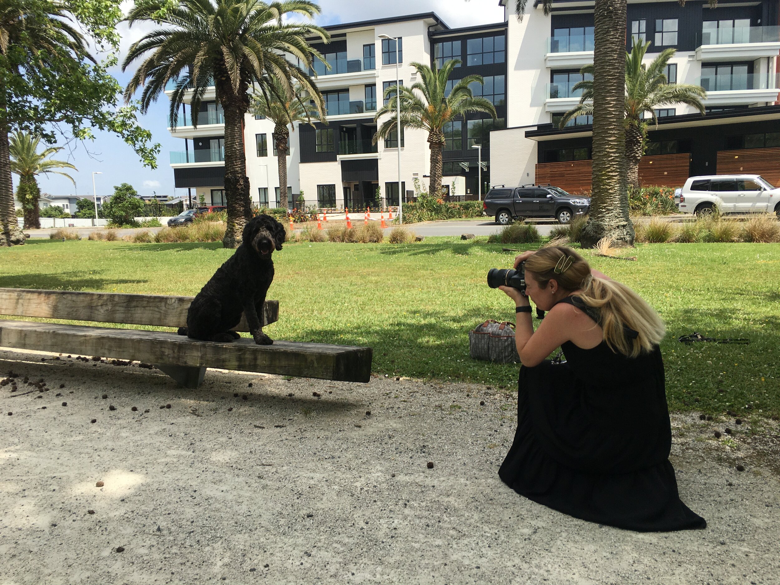 on location dog photoshoot