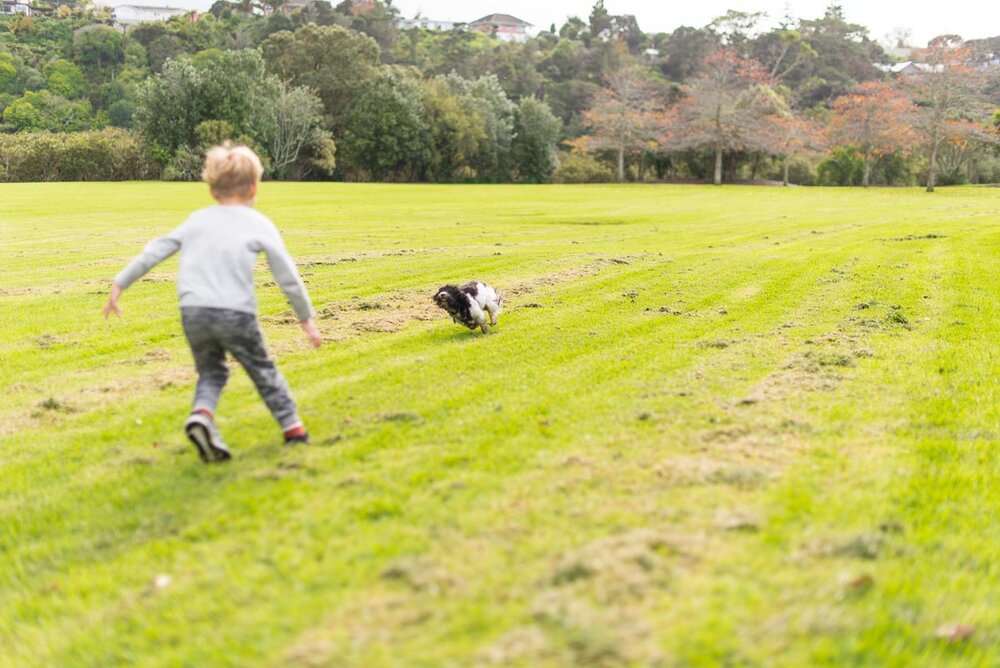 kids and dog photographer auckland