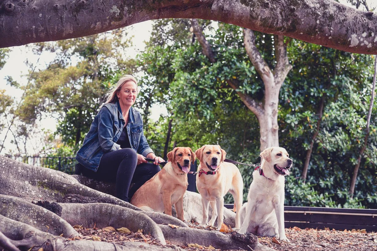 Weekend photoshoot — Yellow Lab Pet Photographer