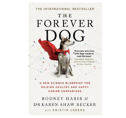 the forever dog (Copy)