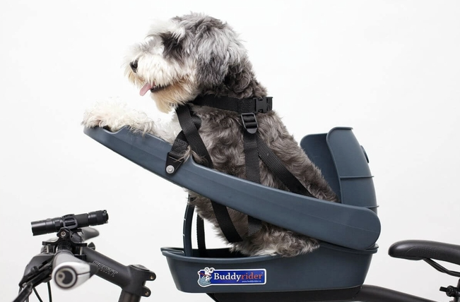 dog bicycle seat (Copy)