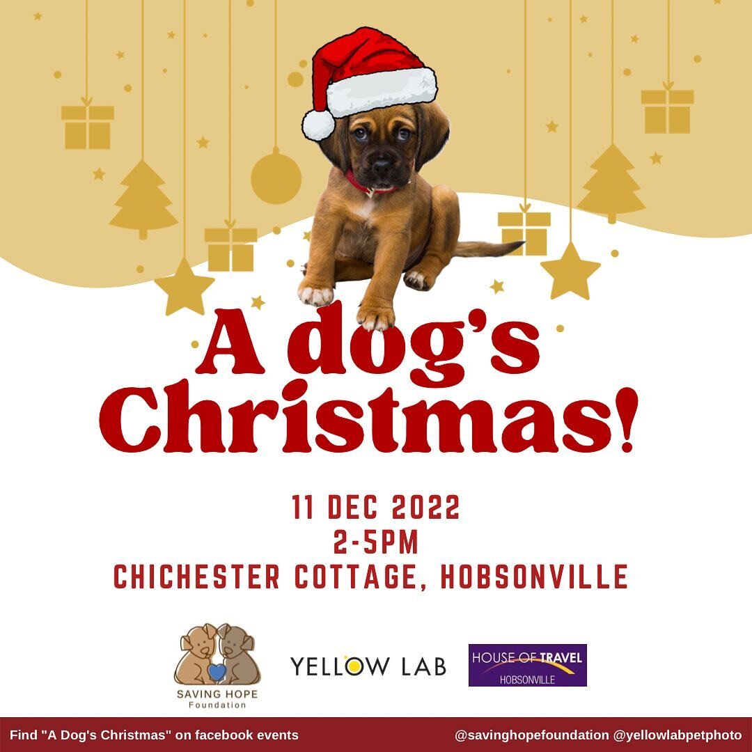 🎅🎅A Dog&rsquo;s Christmas is this weekend!!!
Join me and @savinghopefoundationnz &amp; @houseoftravelhobsonville while we put on an epic fundraiser for rescuing and rehoming puppies and dogs!
🎄Have your dog&rsquo;s xmas photo taken $40 for 1-2 dig