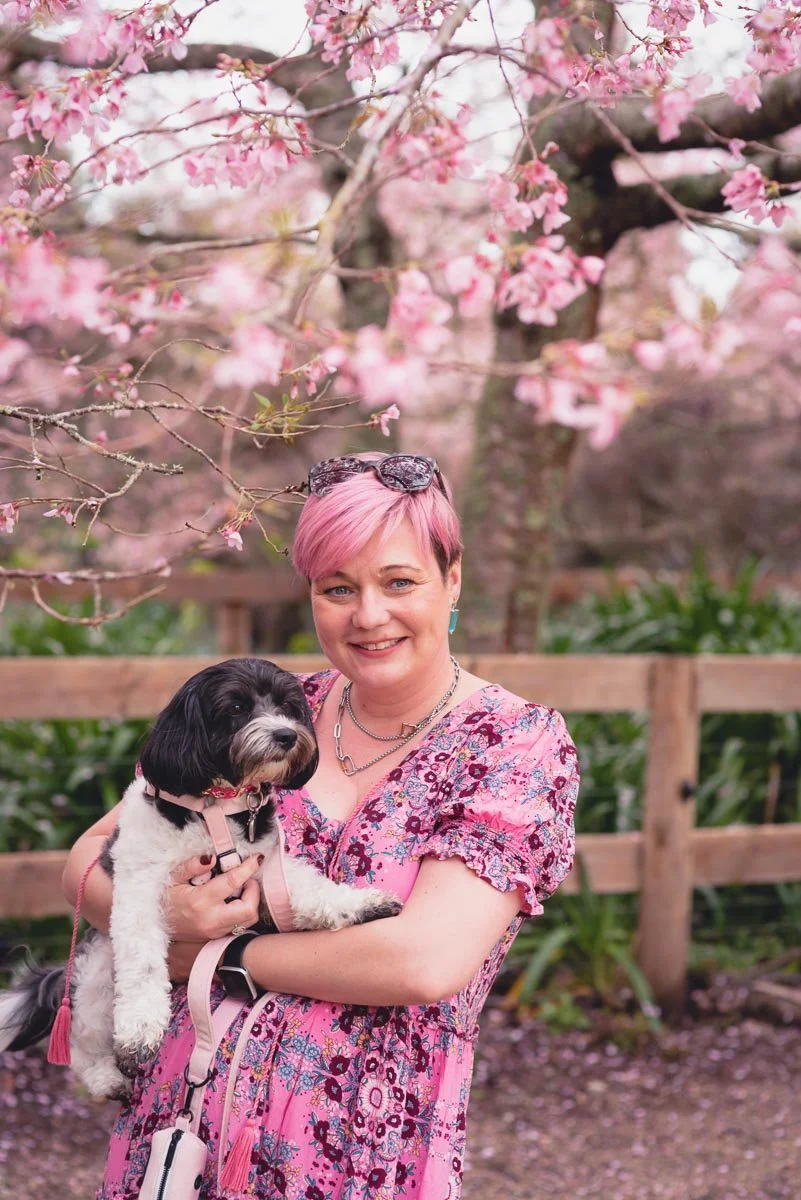 Auckland's best dog walks for epic photos — Yellow Lab Pet Photographer