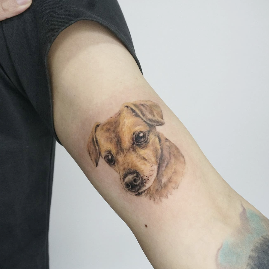 Realistic colour tattoo of dog