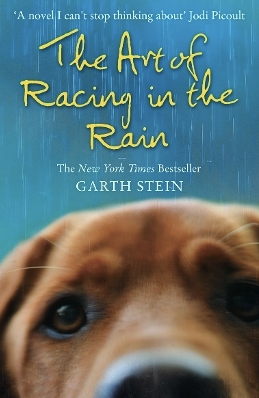 art of racing in the rain book new zealand