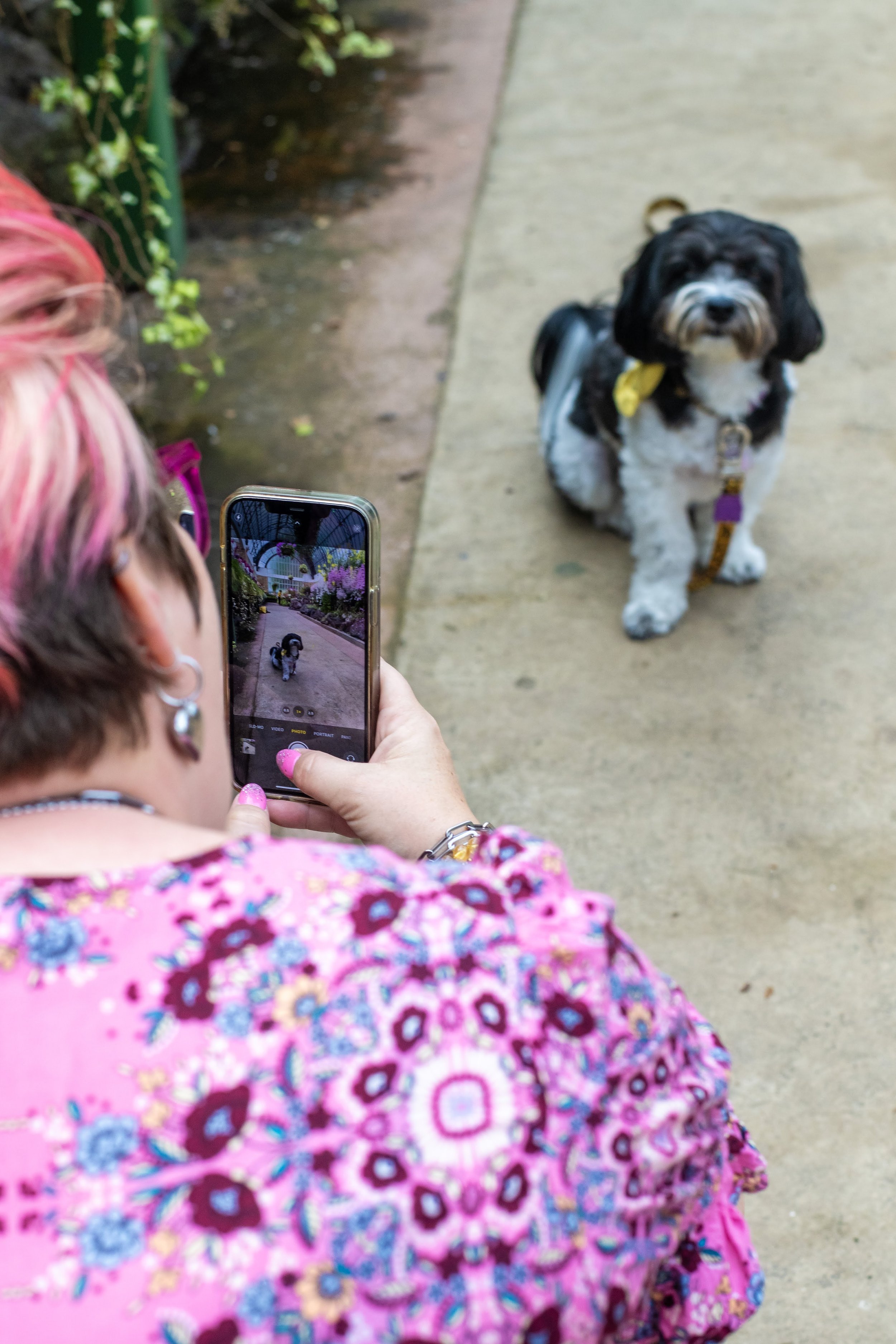 Unleash Your Inner Photographer: Capture Perfect Pet Moments with Your Smartphone