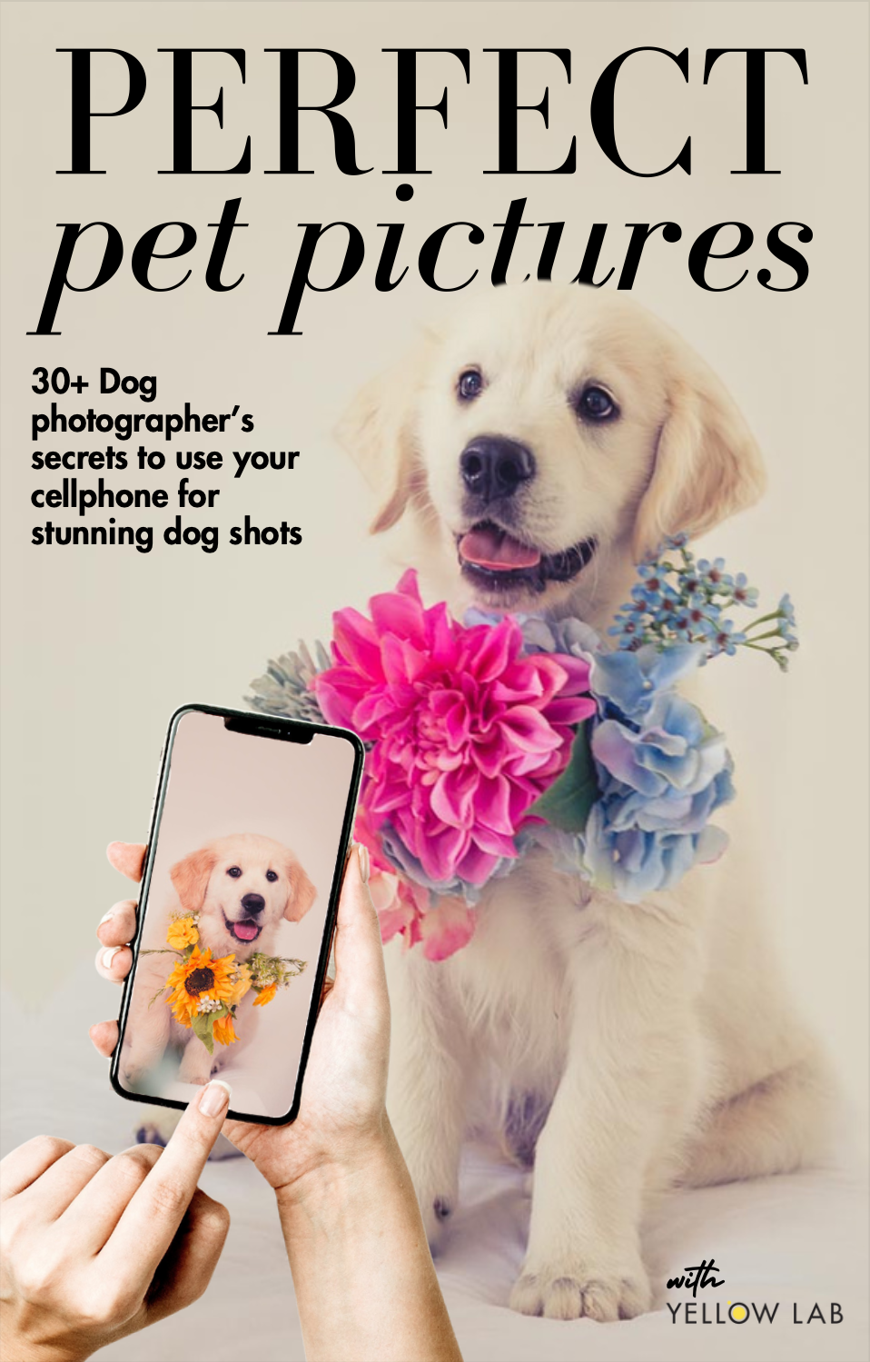 Perfect-pet-pictures-ebook.png