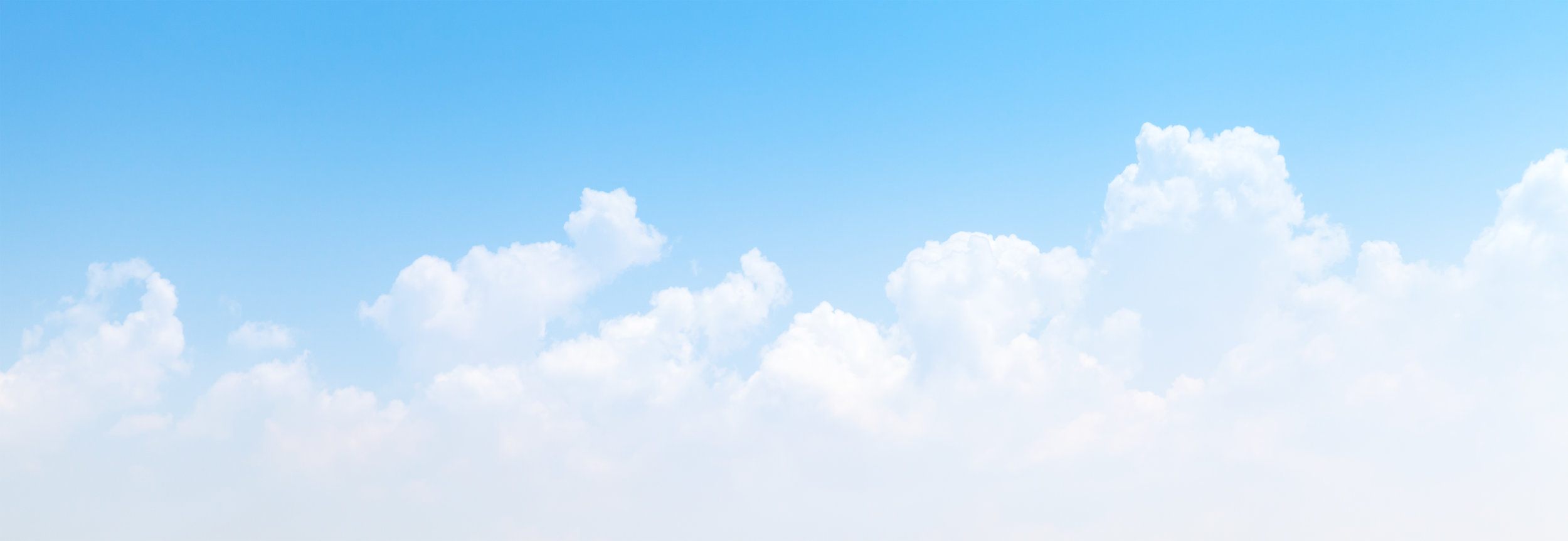 AdobeStock_189988286.jpeg