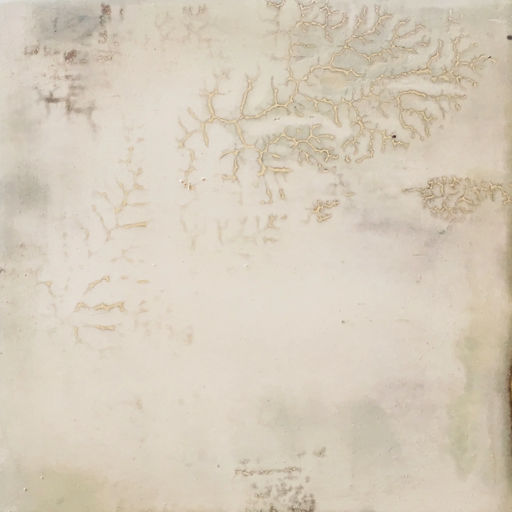 white fractal 2018