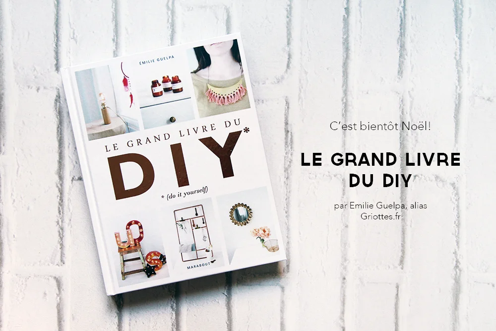 Le Grand Livre du DIY par Emilie Guelpa | Review
