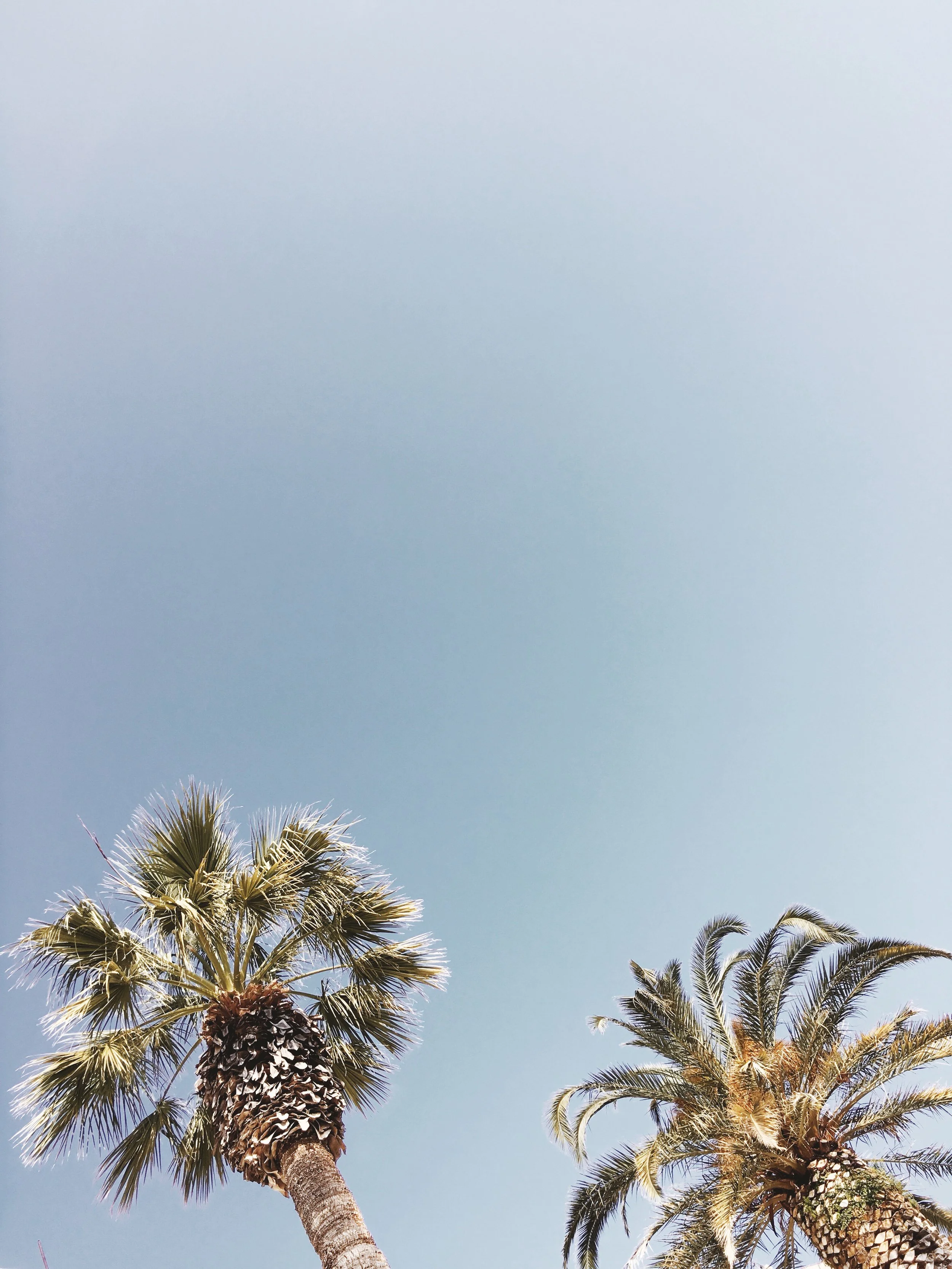 A week in Paradise | Young Living Raindrop Technique Event in Croatia