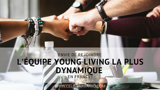 Equipe YL.png
