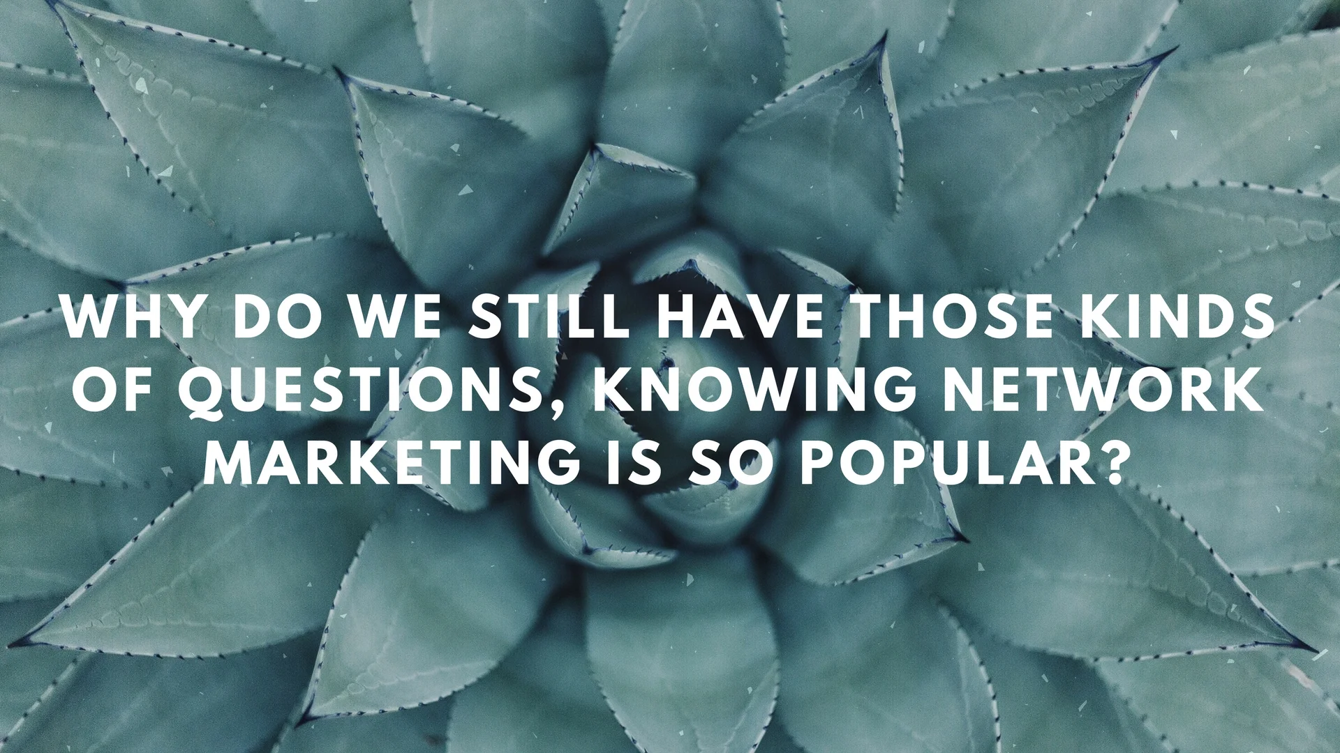 WHY do we still have those kinds of questions, knowing network marketing is so popular_.jpg