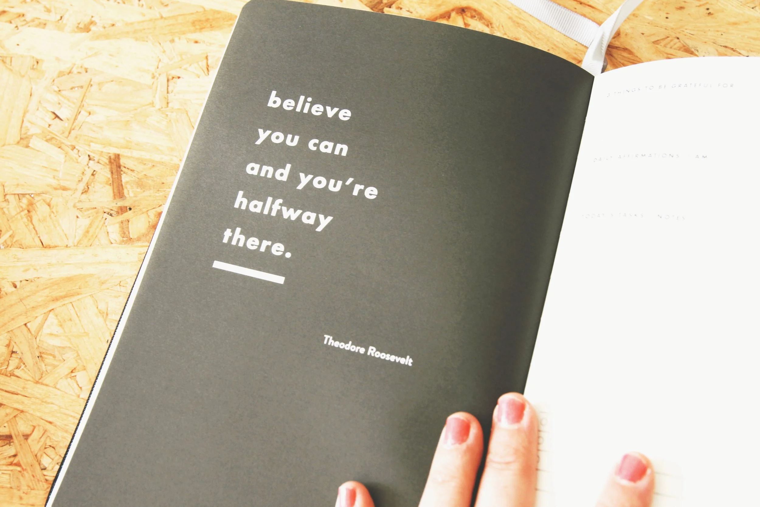 celine navarro daily goal setter planner 09.JPG