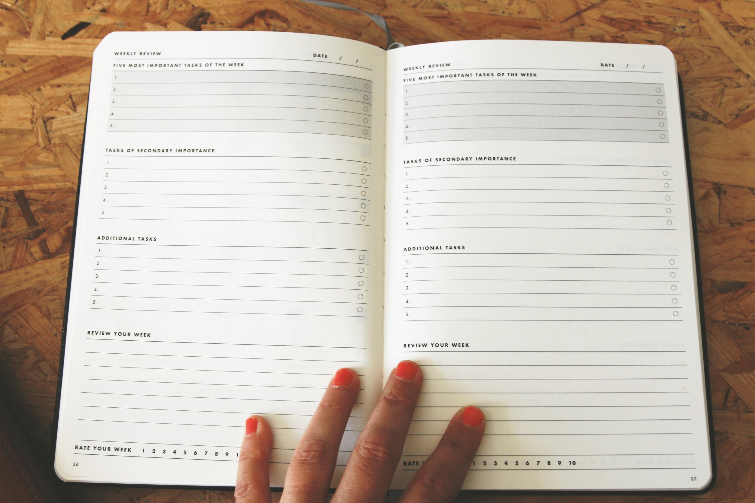 celine navarro daily goal setter planner 10.JPG
