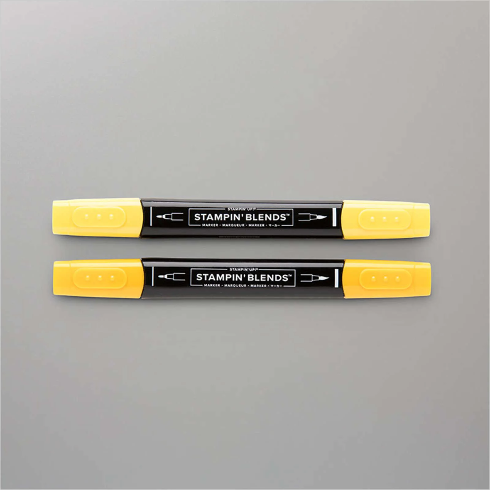 DUO DE MARQUEURS STAMPIN’ BLENDS MÉLODIE DE MANGUE