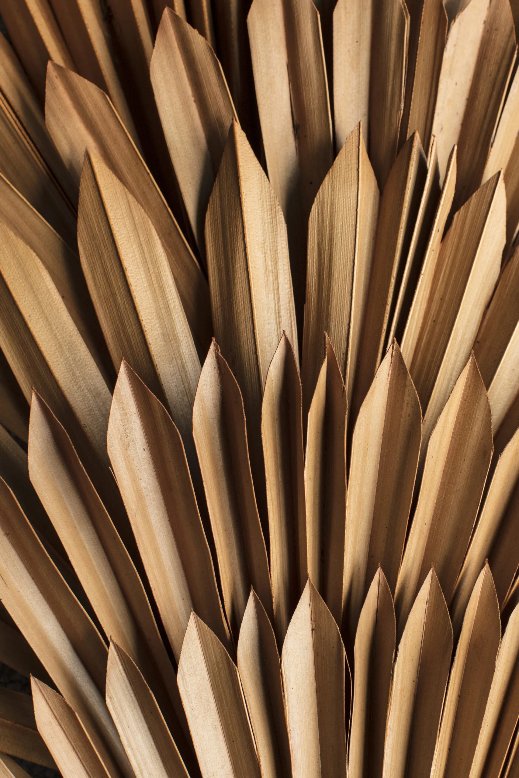 Camel_Social-Squares_Styled-Stock_01054-scaled.jpg