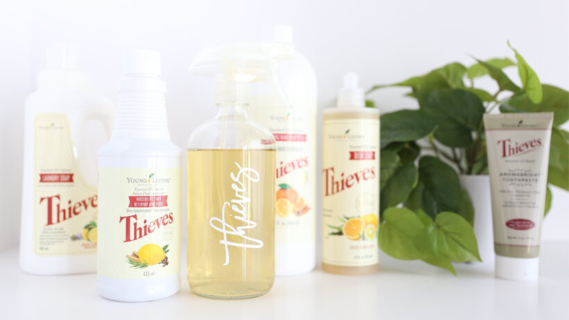 SO Class_ Clean Home Banner2.jpg