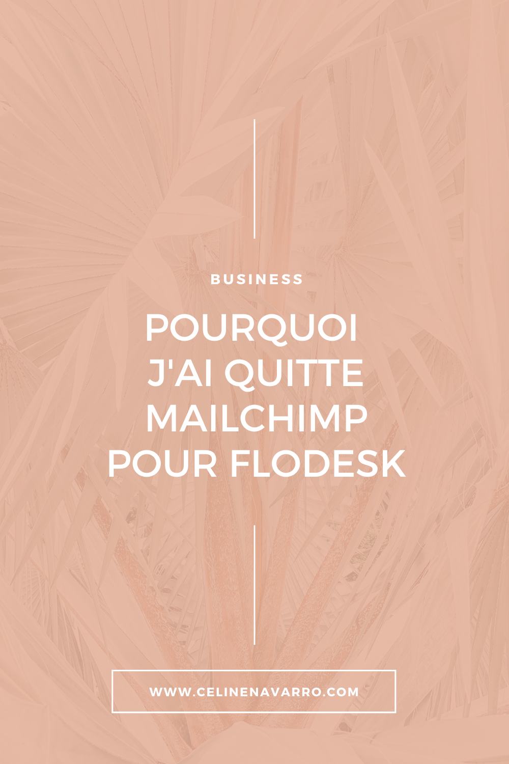 POURQUOI J'AI QUITTE MAILCHIMP POUR FLODESK