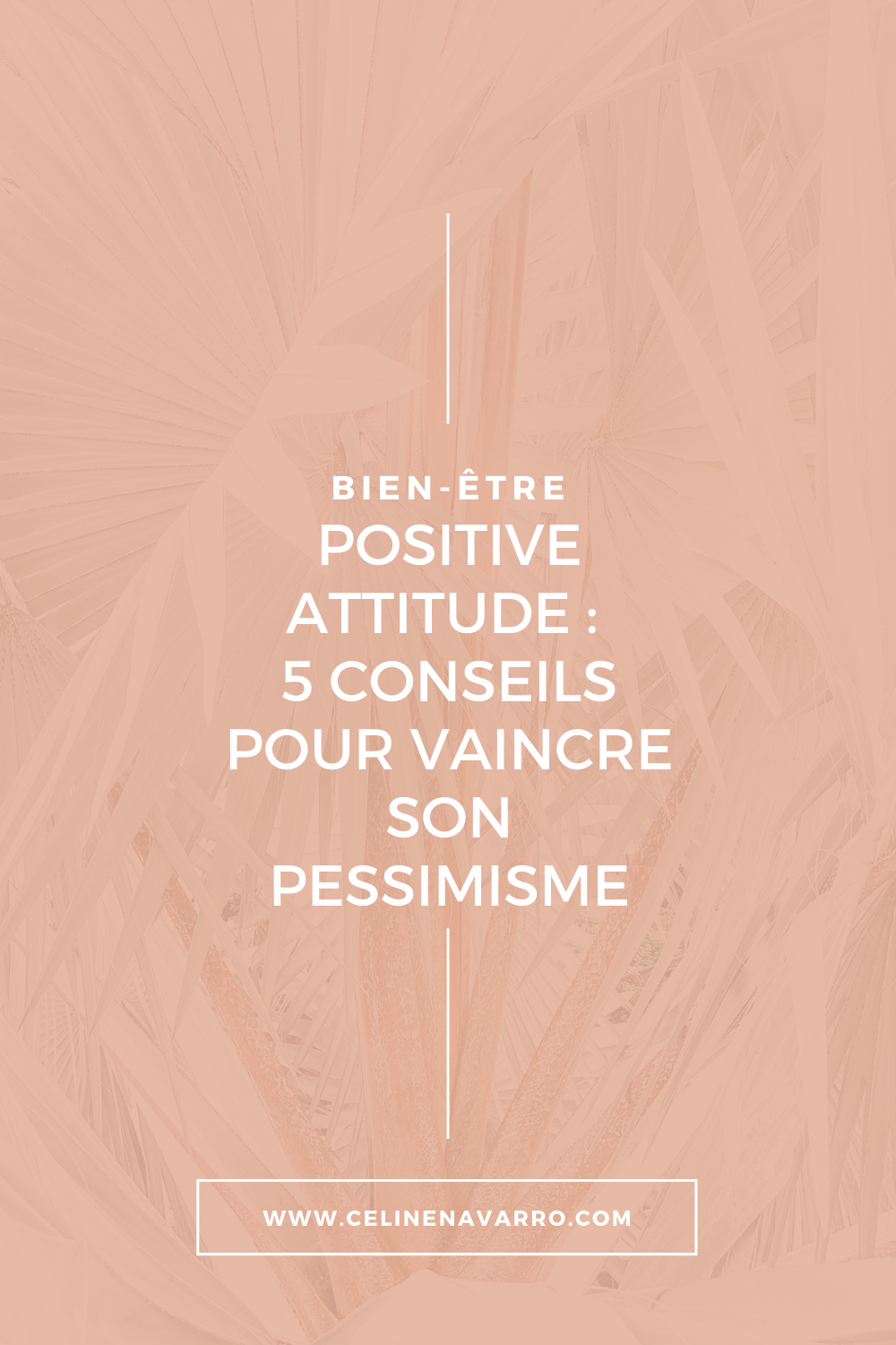 Positive attitude _ 5 conseils pour vaincre son pessimisme.png