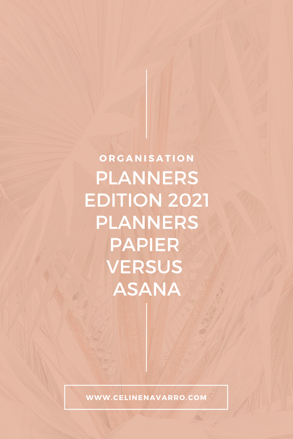 PLANNERS edition 2021 |&nbsp;Planners papier versus Asana