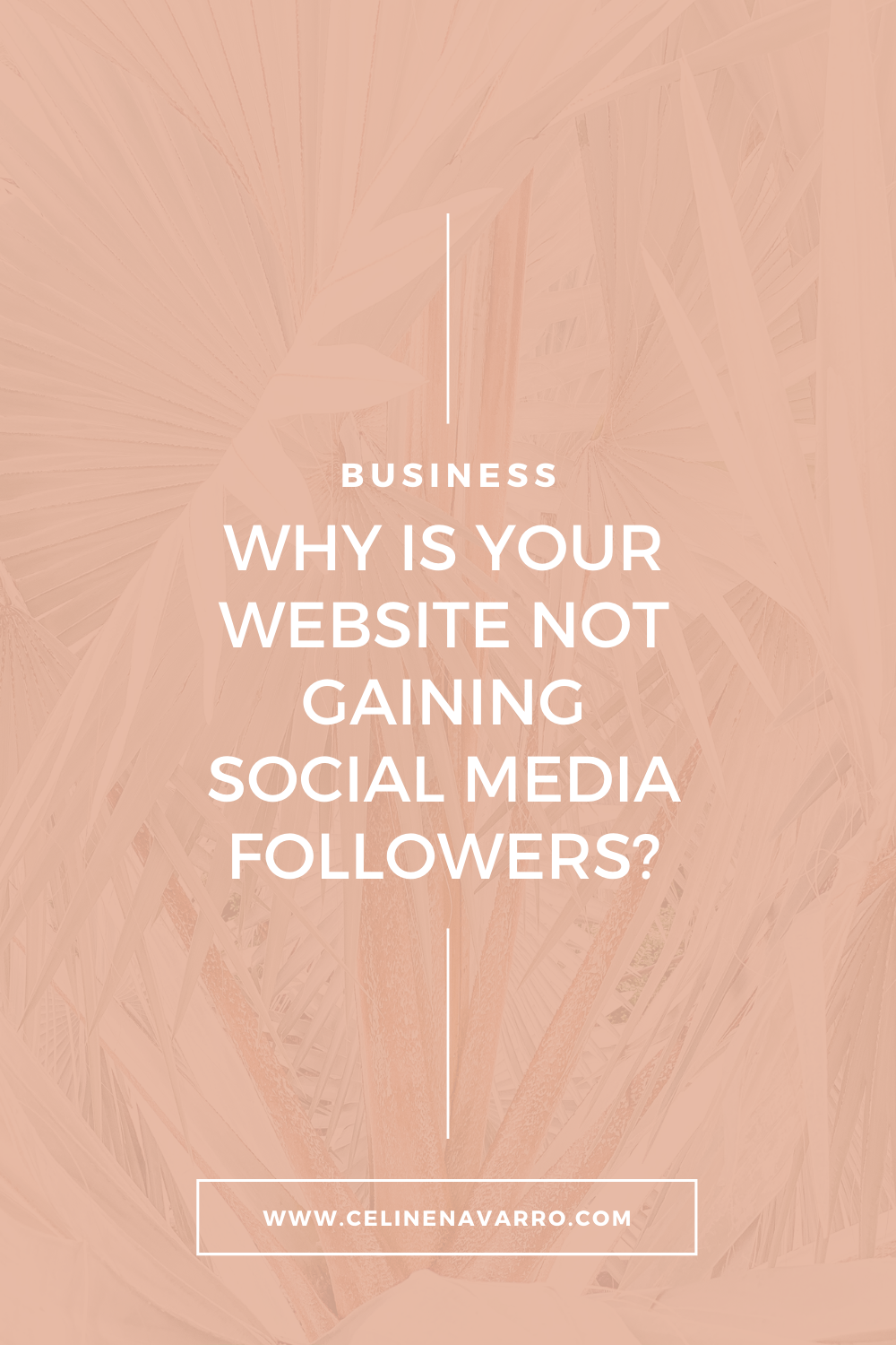 WHY IS YOUR WEBSITE NOT GAINING SOCIAL MEDIA FOLLOWERS?