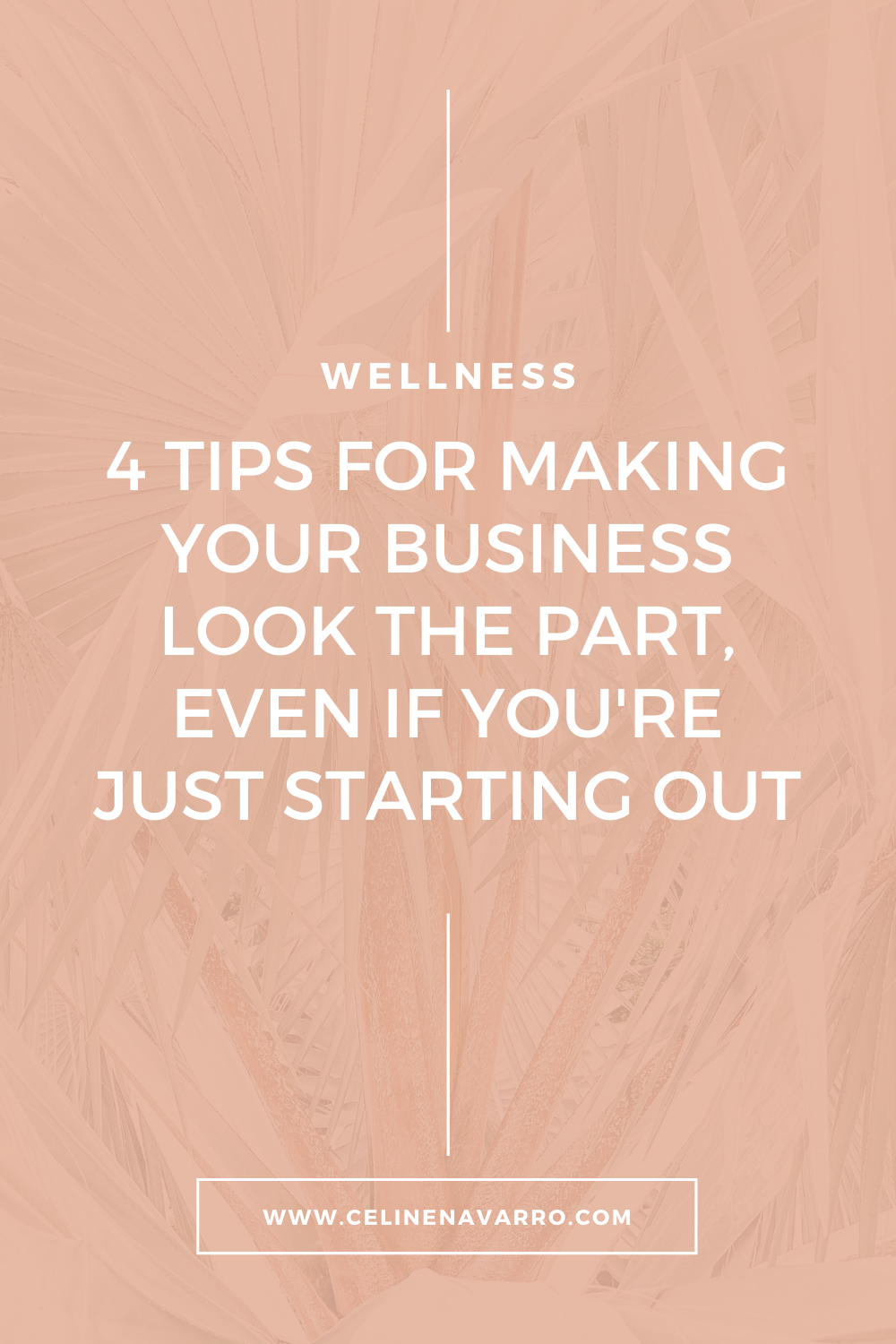 4 TIPS FOR MAKING YOUR BUSINESS LOOK THE PART, EVEN IF YOU'RE JUST STARTING OUT