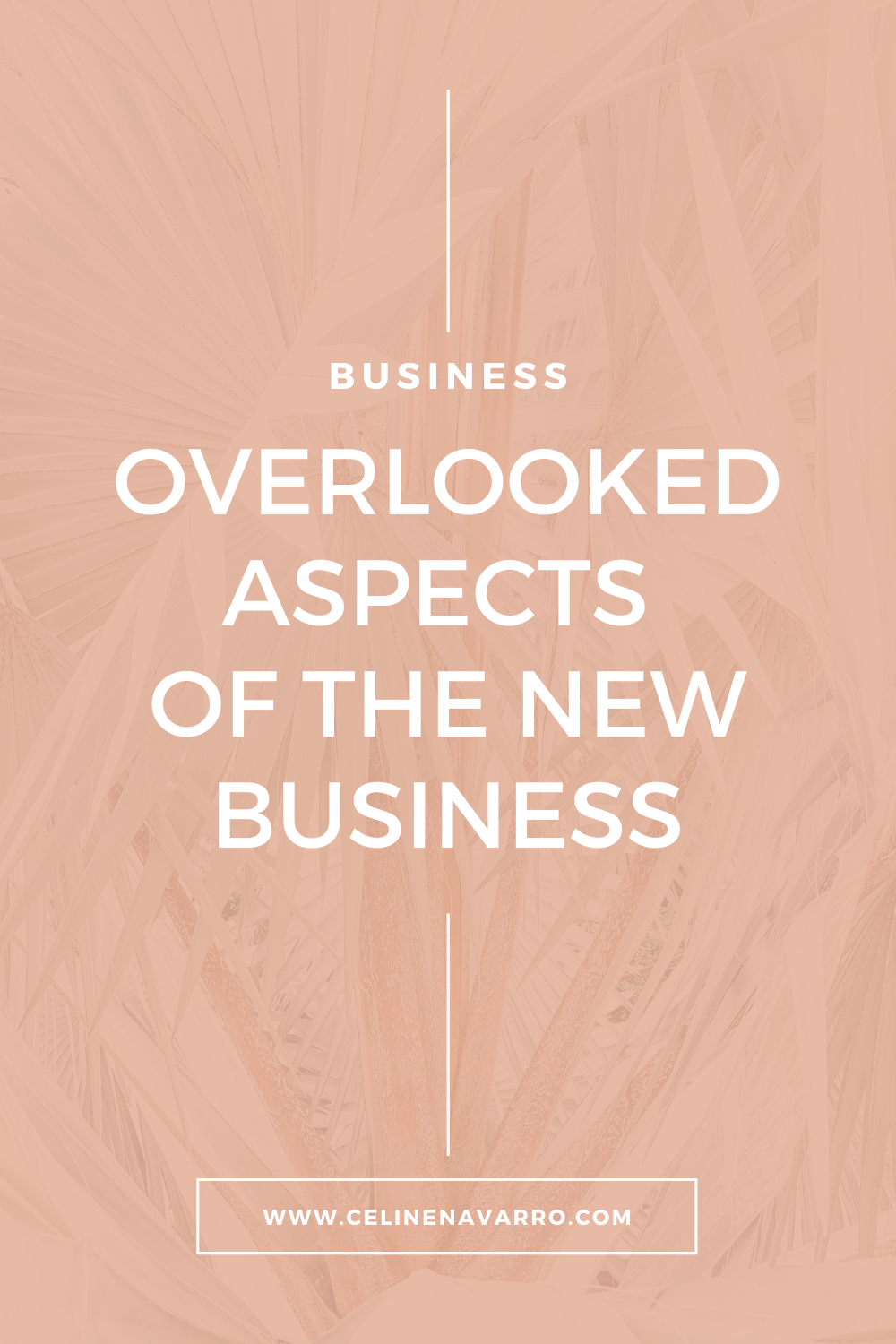 OVERLOOKED ASPECTS OF THE NEW BUSINESS