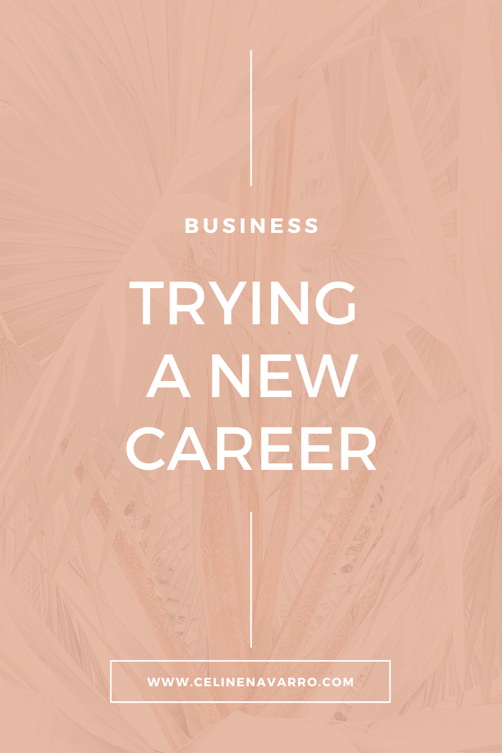 TRYING A NEW CAREER.png