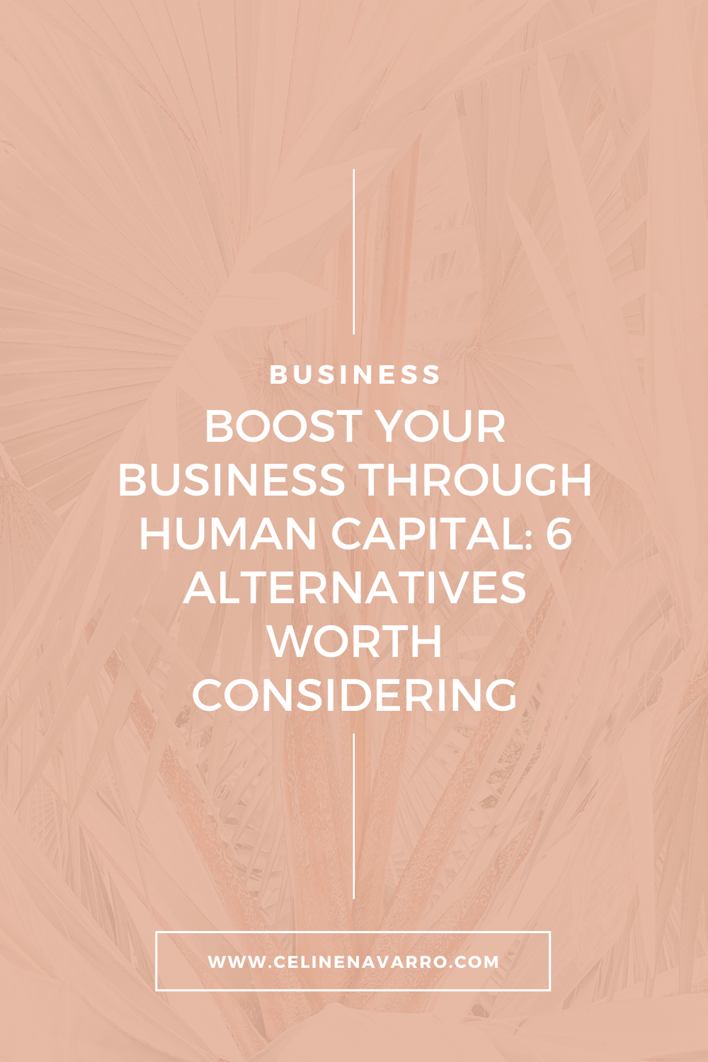 BOOST YOUR BUSINESS THROUGH HUMAN CAPITAL: 6 ALTERNATIVES WORTH CONSIDERING