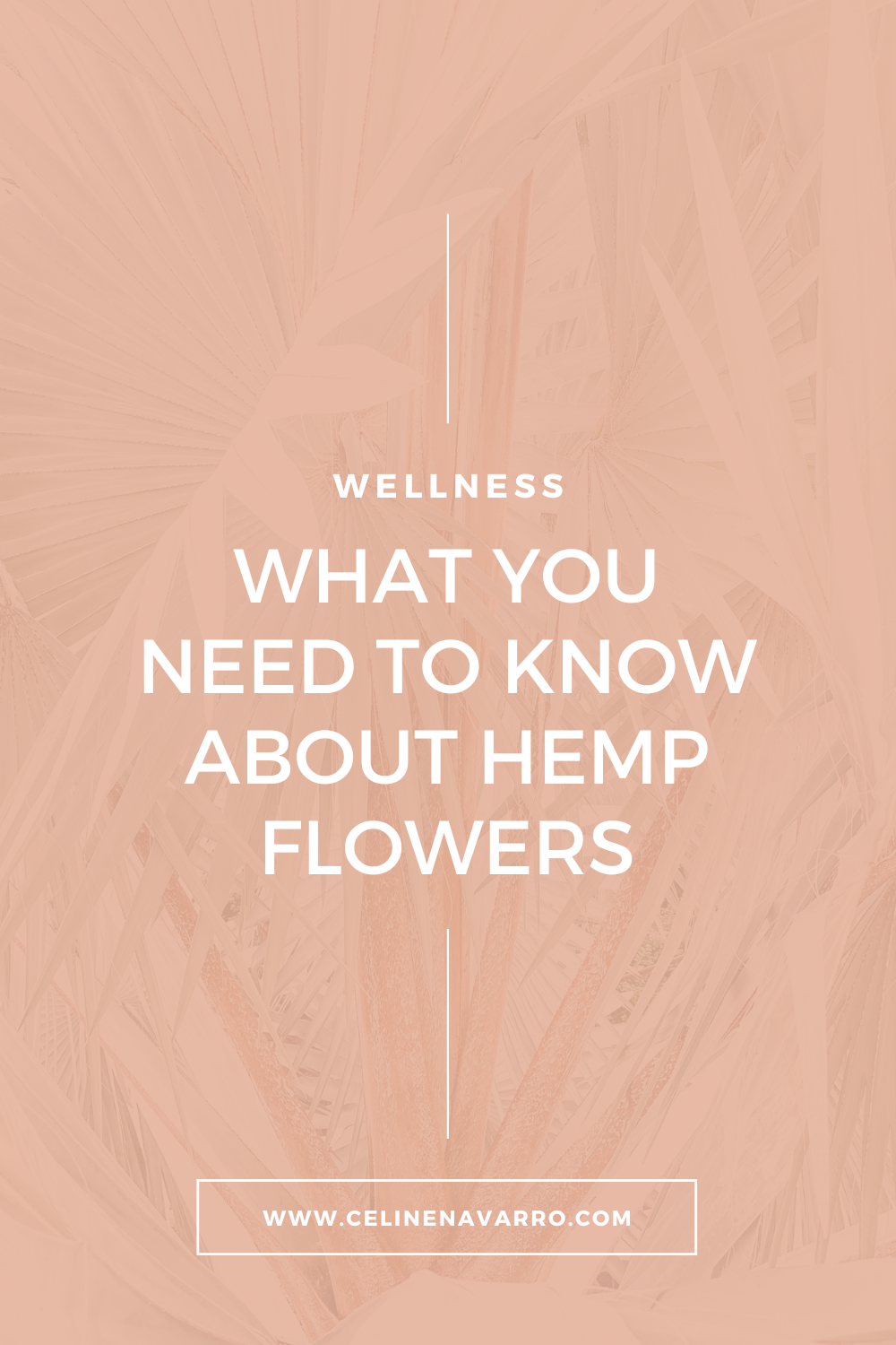 WHAT YOU NEED TO KNOW ABOUT HEMP FLOWERS