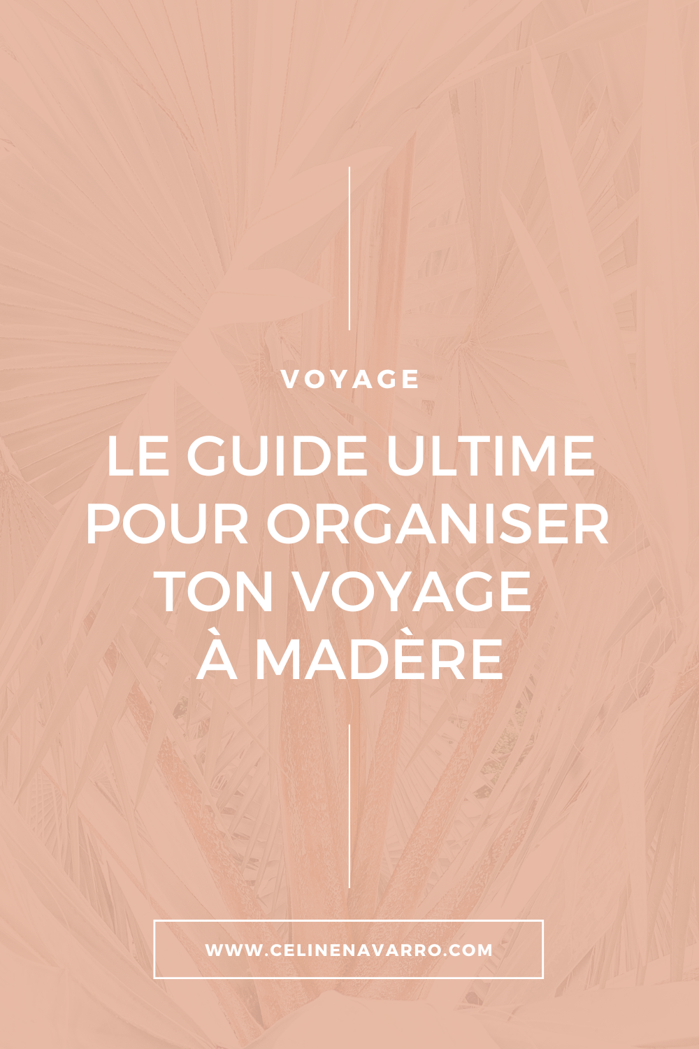 LE GUIDE ULTIME POUR ORGANISER UN VOYAGE À MADÈRE
