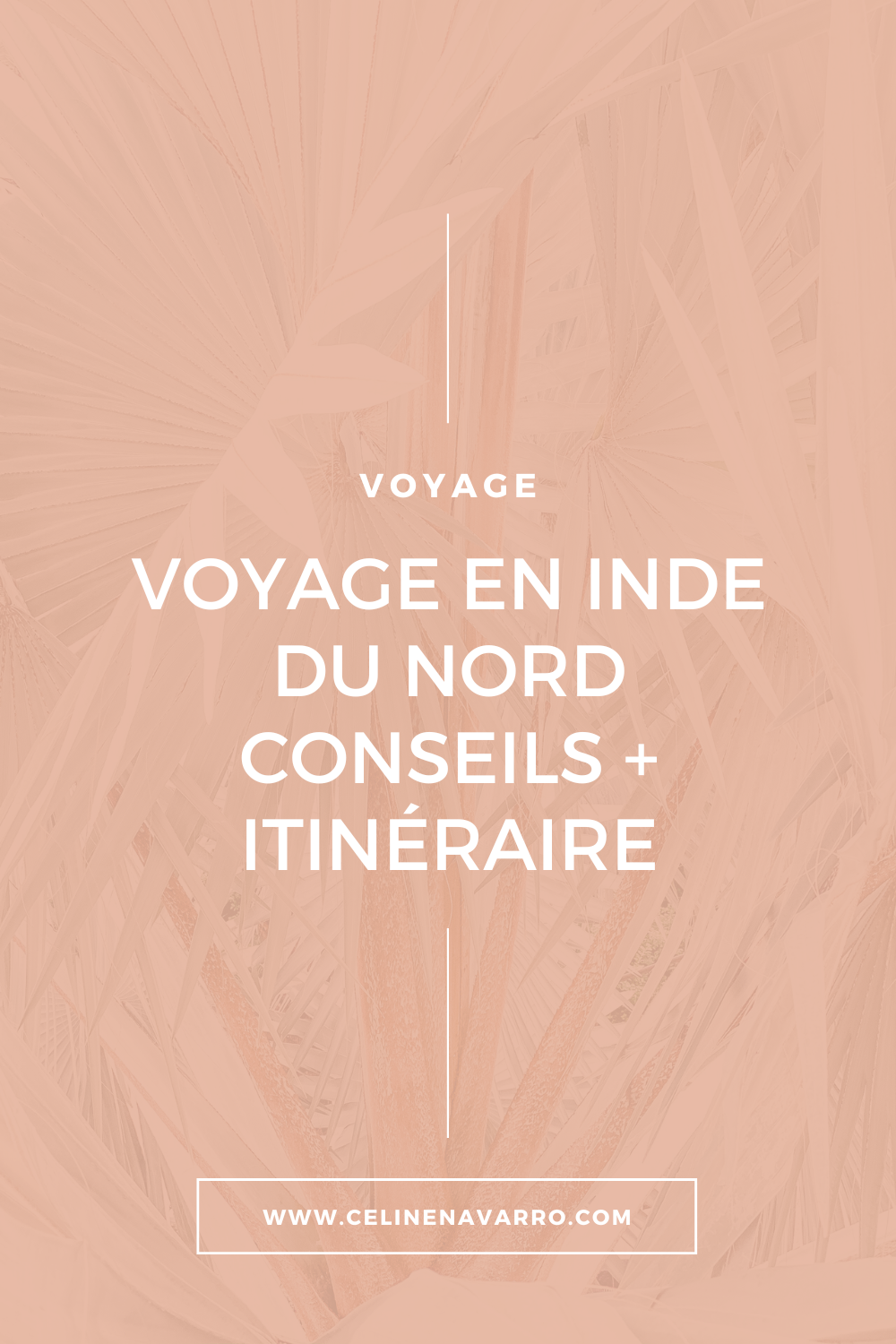 VOYAGE EN INDE DU NORD | Conseils + itinéraire