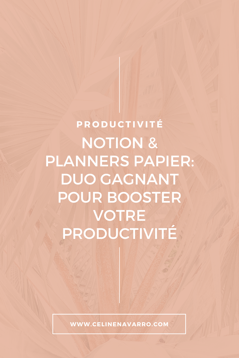 Notion &amp; planners papier : ton Duo Gagnant pour une meilleure Productivité