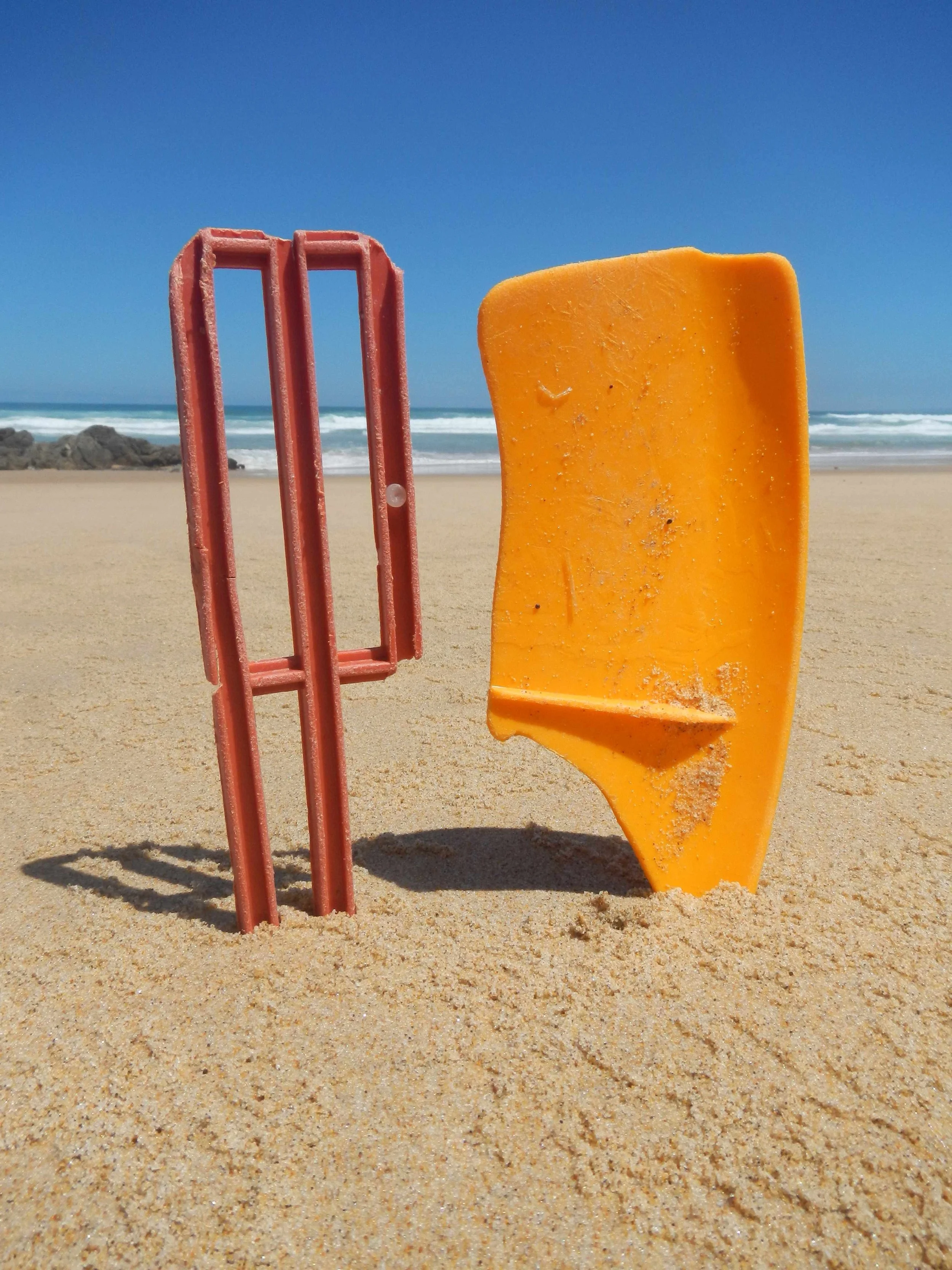  Complementaries.  Garden Route.  South Africa. 2013.  