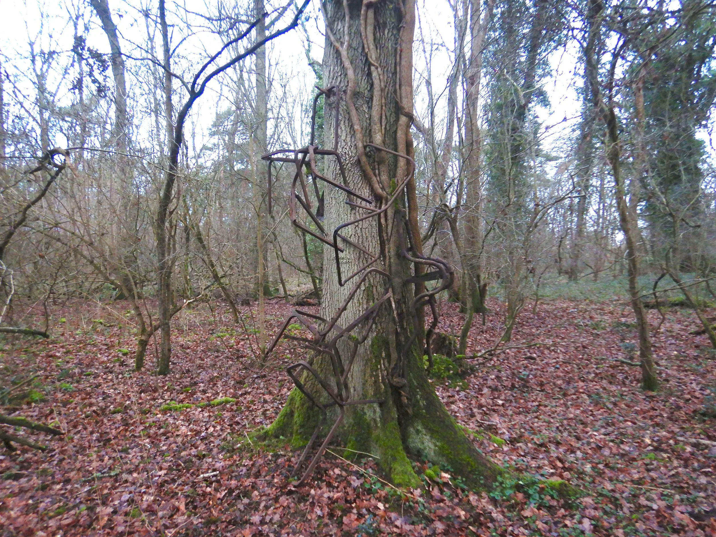 Climbing Chair, Buckinghamshire, UK