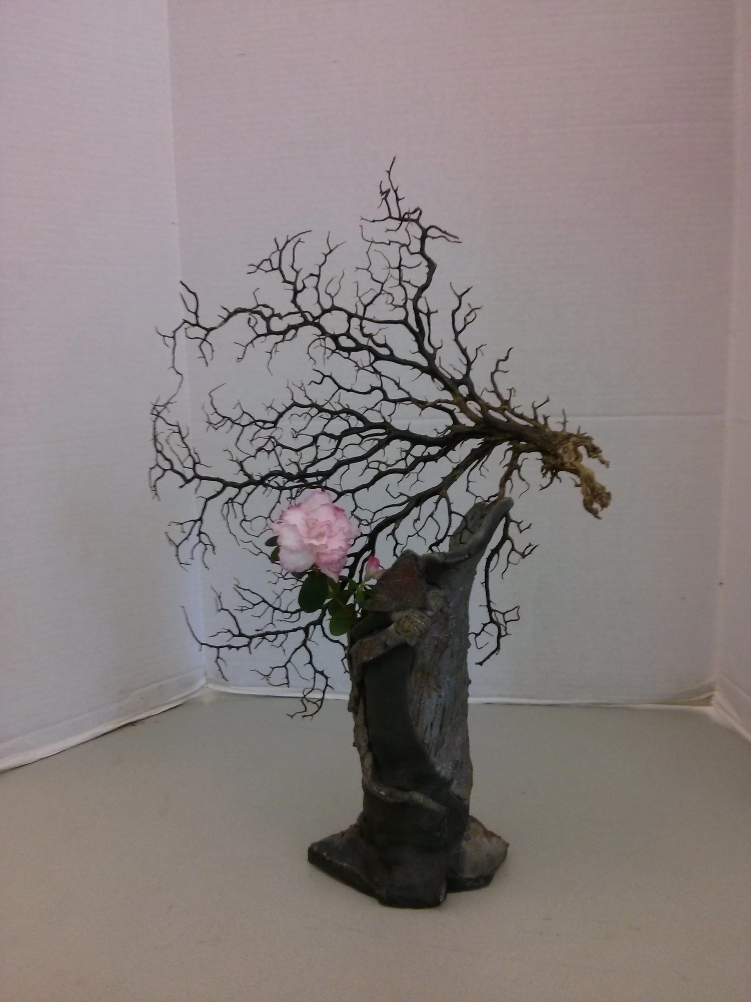 Vase form with sea fan
