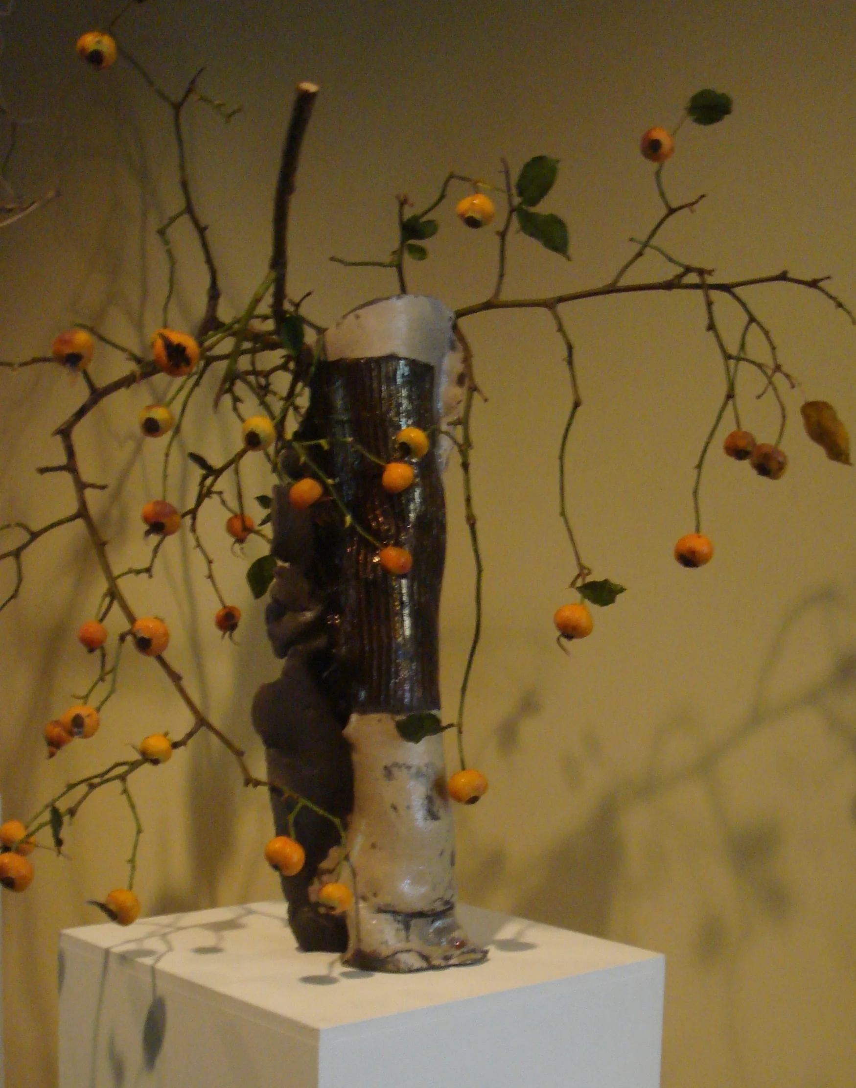 Fletcher's Sutra with rosehips