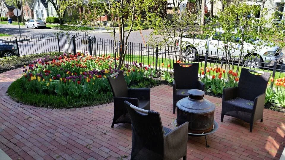 tulips.jpg