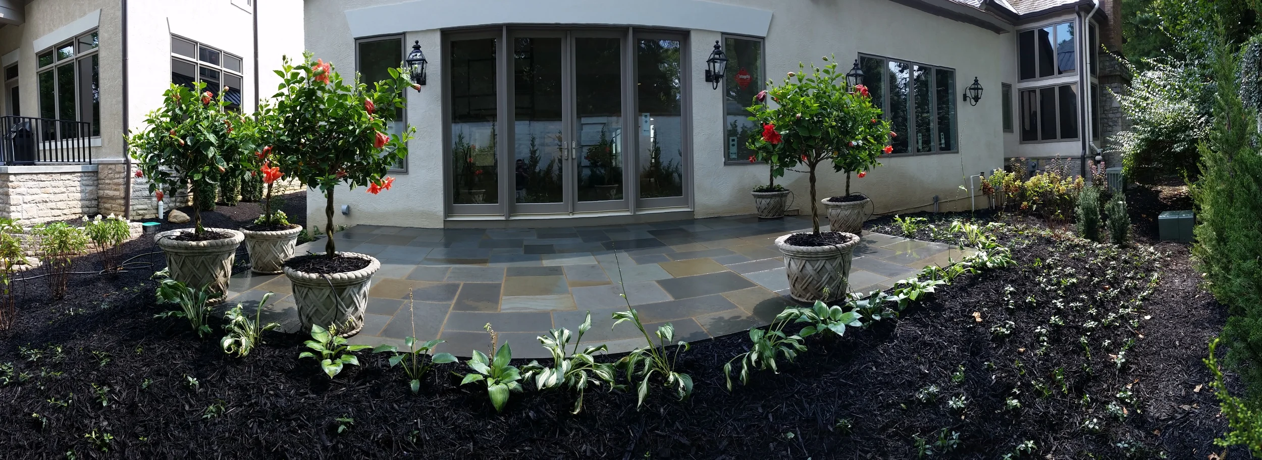  another after picture 