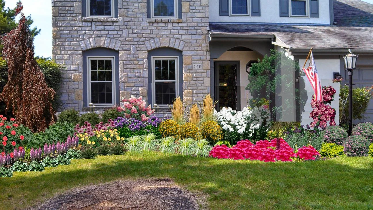  Landscape image editor design 