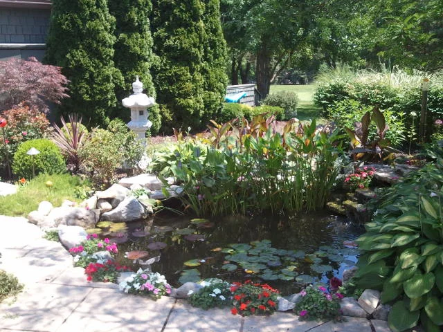 2011-06-30 13.16.40.jpg