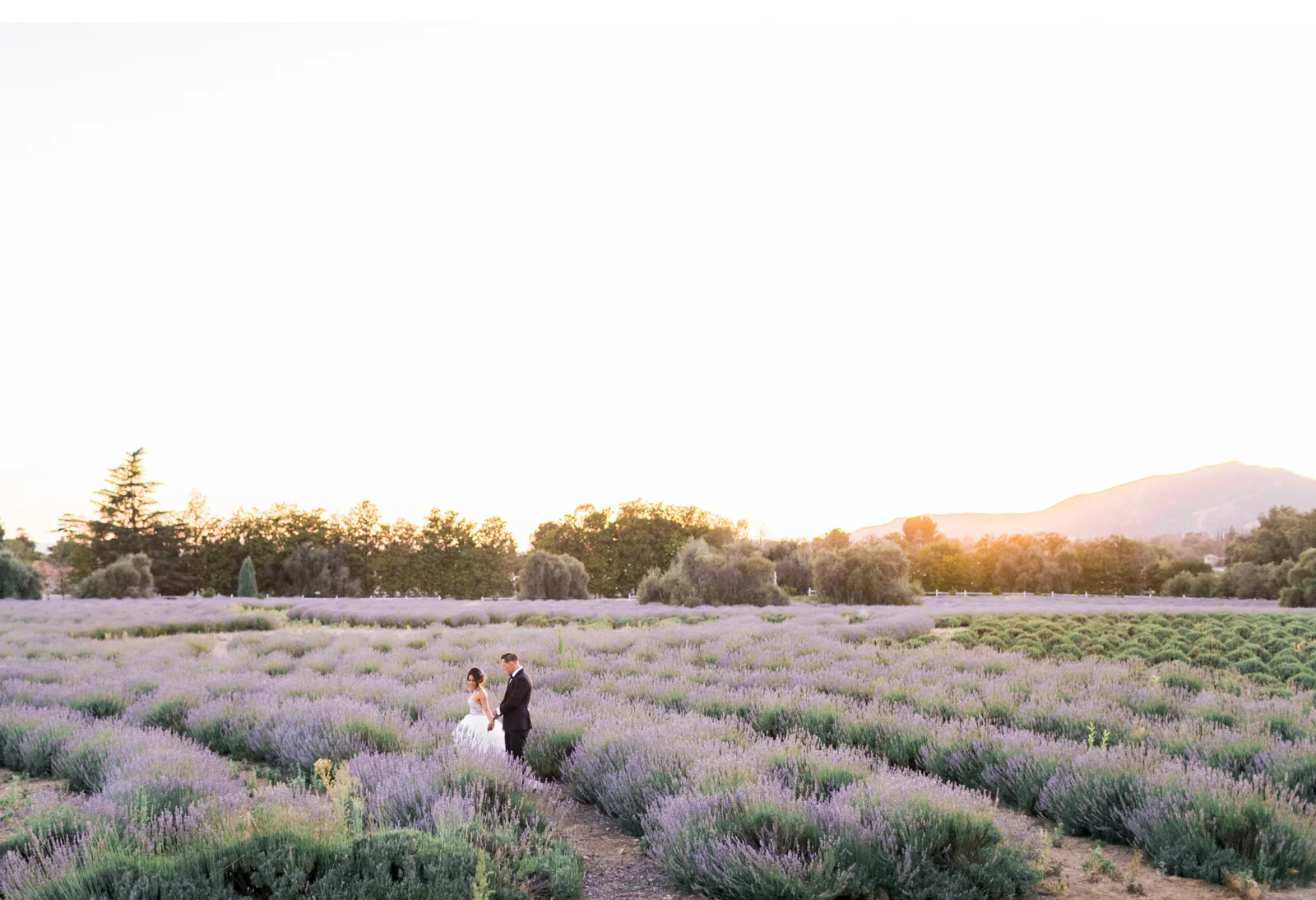 California-Lavender-Field-Wedding-Natalie-Schutt-Photography-Style-Me-Pretty_13.jpg