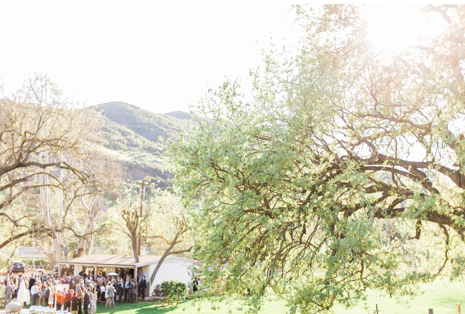 Triunfo-Creek-Malibu-Wedding-Natalie-Schutt-Photography-Couture-Events-Style-Me-Pretty_10.jpg
