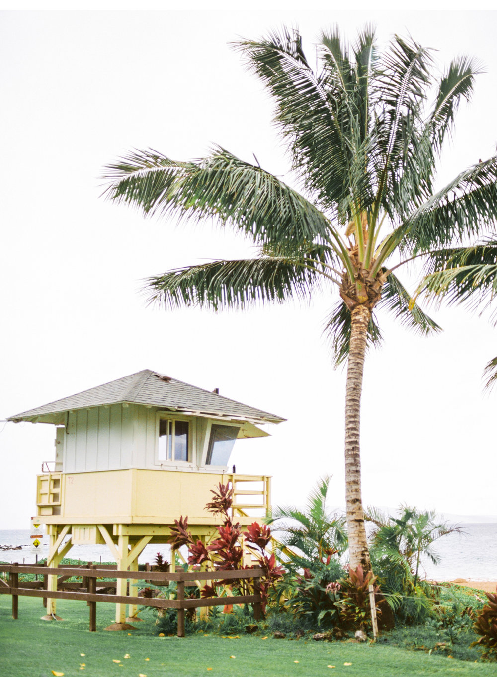 Hawaii-Wedding-Photographer-Natalie-Schutt-Photography_10.jpg