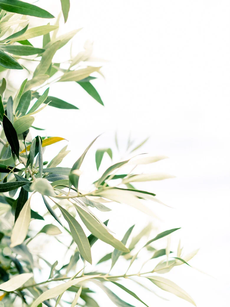 Ben + Emma Blog-88.JPG