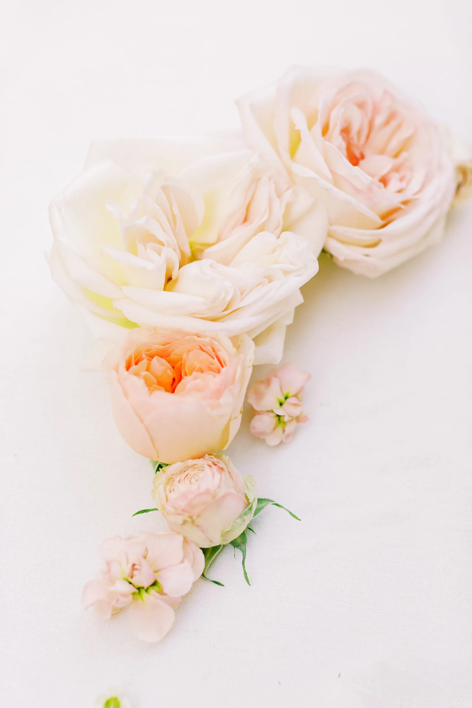 Austin + Nicole Blog-112.JPG