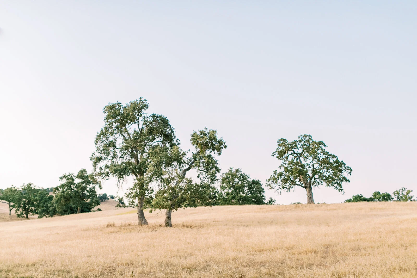 Austin + Nicole Blog-114.JPG