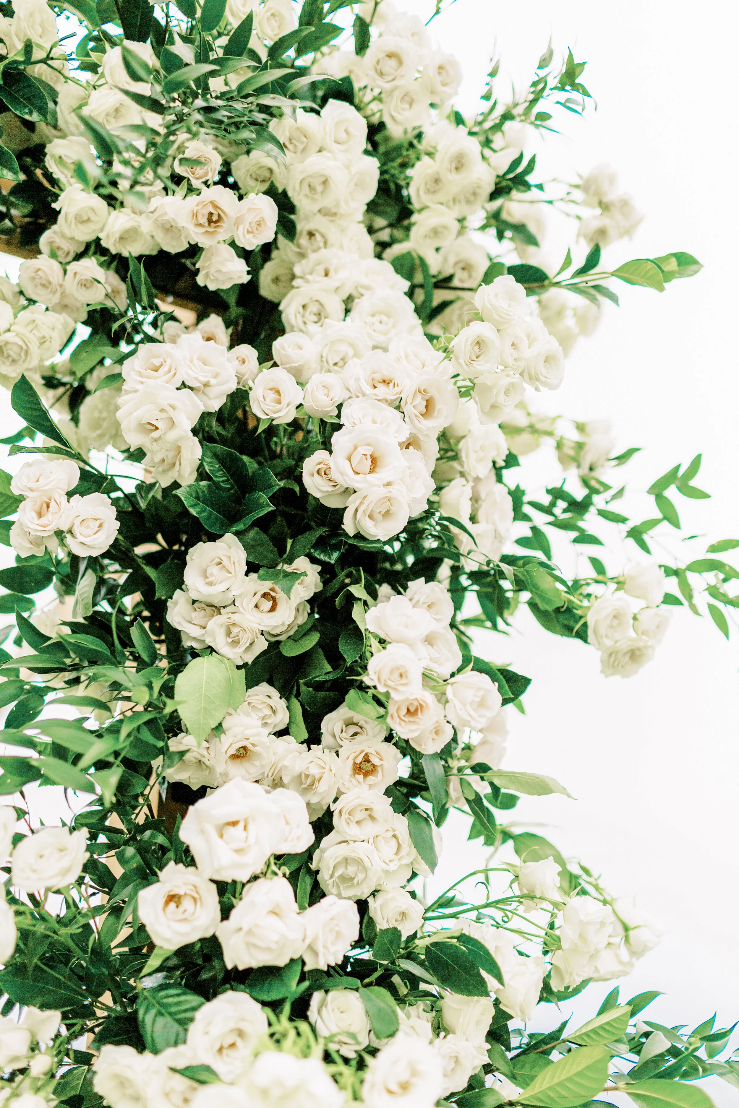 Clay + Heather's Wedding-19.JPG