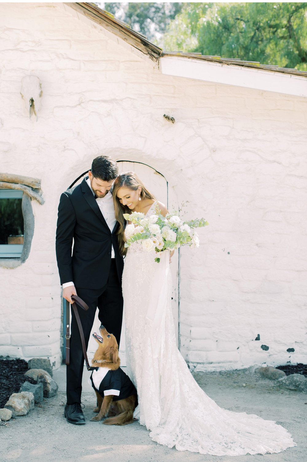 Dog-Wedding-Photo-Clean-and-Modern-Wedding-Photography-High-End-Wedding-Photographers-Bright-and-Airy-Photography-Southern-California-Events-Bride-and-Groom-Photo_01.jpg